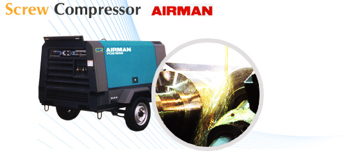 Portable Series  generator